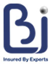 לוגו BI